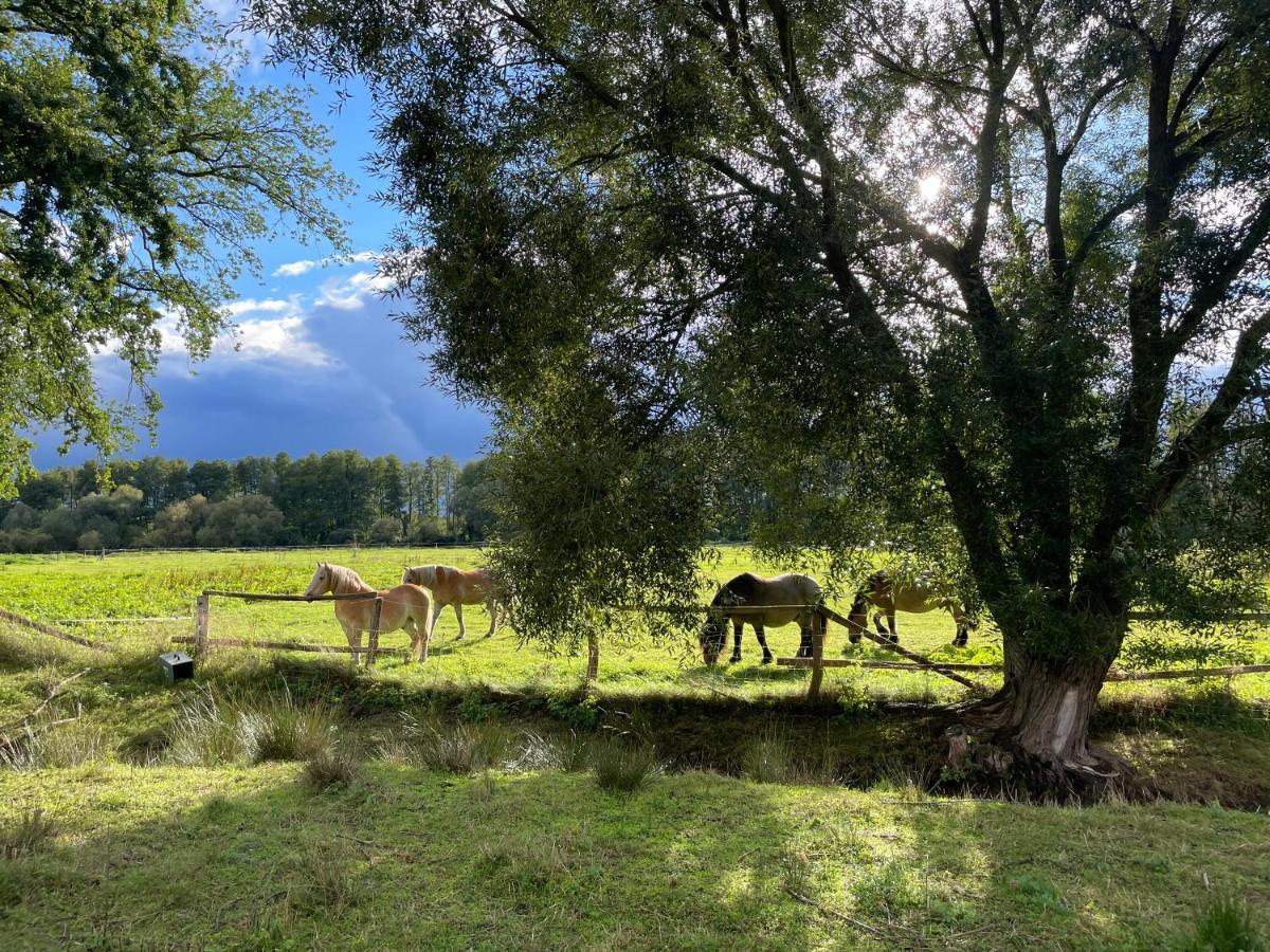 Eichenhof Hotel Garni Gross Koris Bagian luar foto